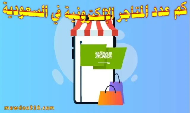 كم عدد المتاجر الإلكترونية في السعودية