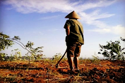 Cinta Menakjubkan Petani pada Tuhan