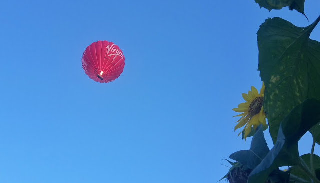 Project 366 2016 day 242 - Hot air balloon // 76sunflowers