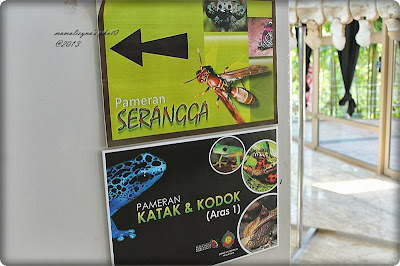 pameran serangga katak amp kodok 1