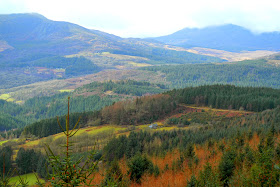 Tyn Y Simmde Coed Y Brenin Holiday Cottage