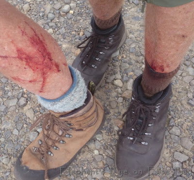 Silvermine battle scars from trail blazing