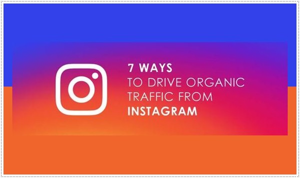 7-Ways-to-Drive-Organic-Website-Traffic-from-Instagram-Blogiapa