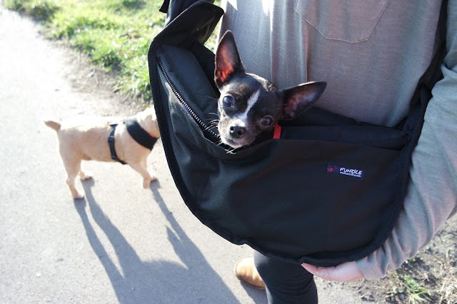 Dog Walk -Teesside - River Tees - Tees Barrage