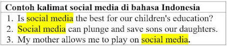 17 contoh kalimat dengan kata social media di bahasa Inggris.