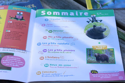 magazine la petite salamandre la salamandre junior avis blog planete parentage