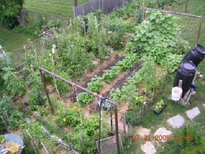 Your Vegetable Garden