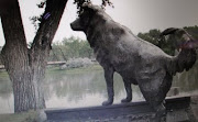 The above bronze statue of Shep, with his paw on a train rail still . (dsc )