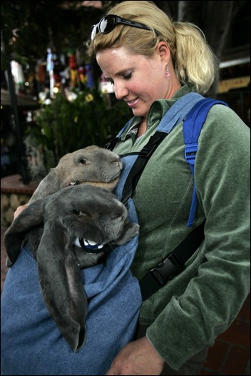lops
