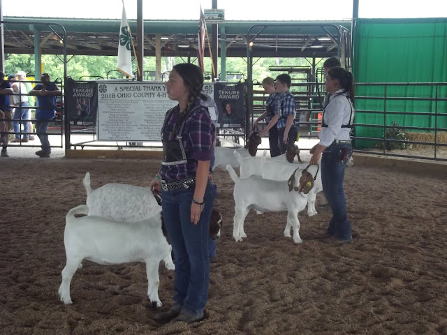 Ohio County Fair