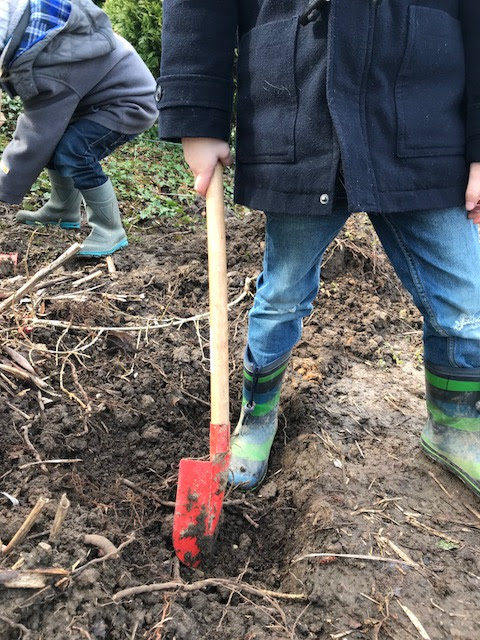 Wochenende in Bildern: Gartenarbeit