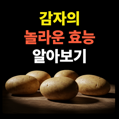 감자의 효능 총정리! 피부, 다이어트, 혈압까지 잡는 감자의 놀라운 비밀 썸네일