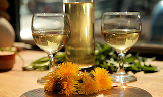 image: photo of John Wright's dandelion wine
