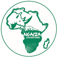 Ngaiza logo