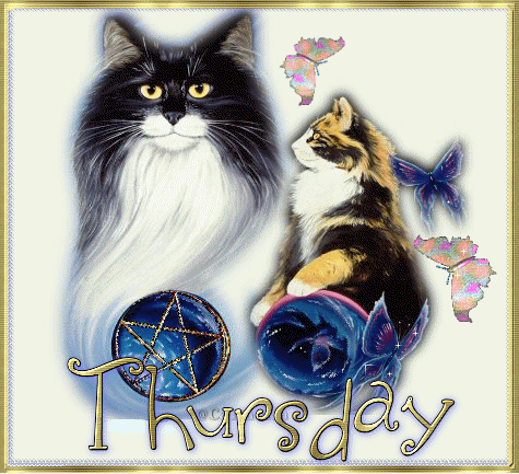 ThursdayCats