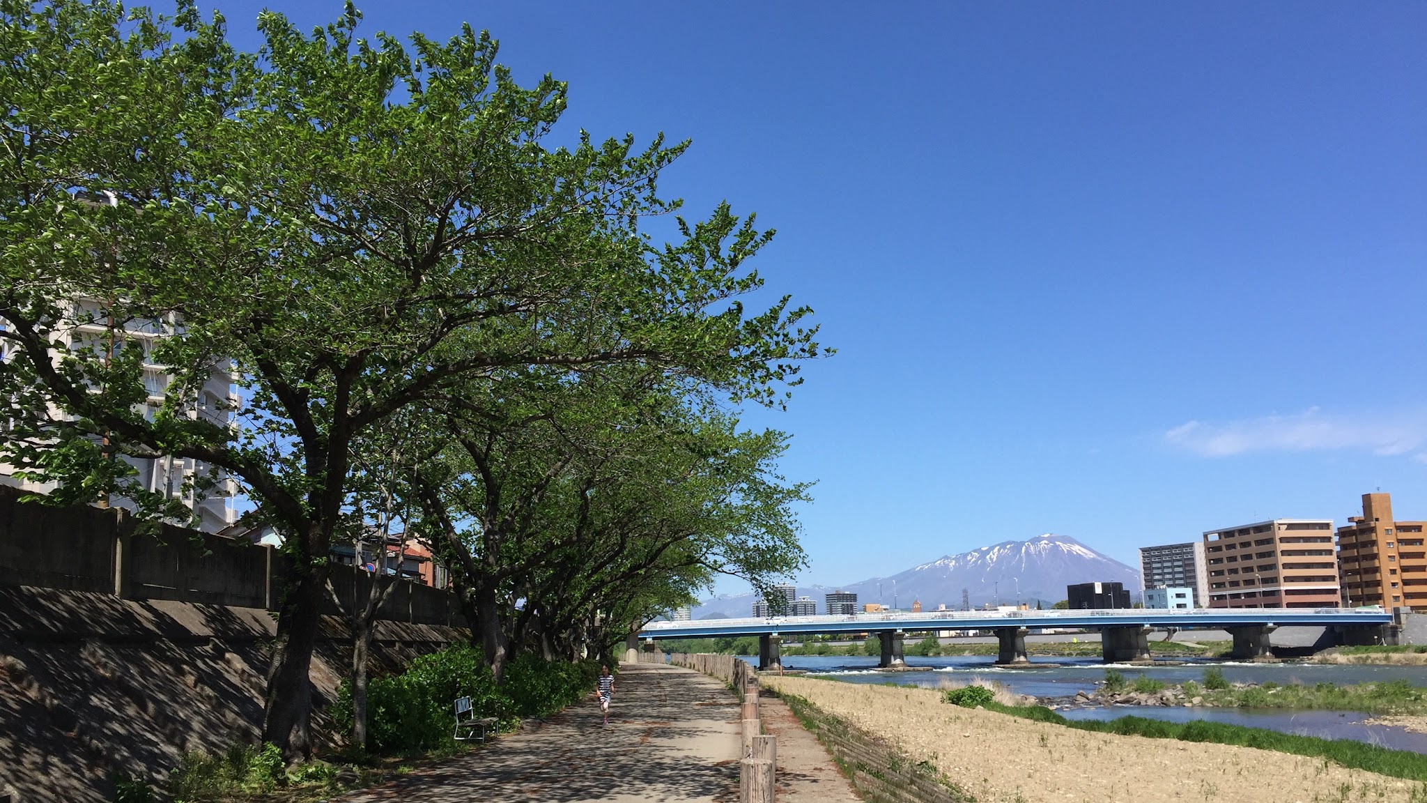 今日の岩手山