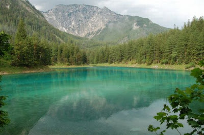 Beautiful Underwater Meadow