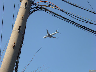 飛行機