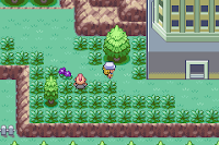 Pokemon Fuligin screenshot 02