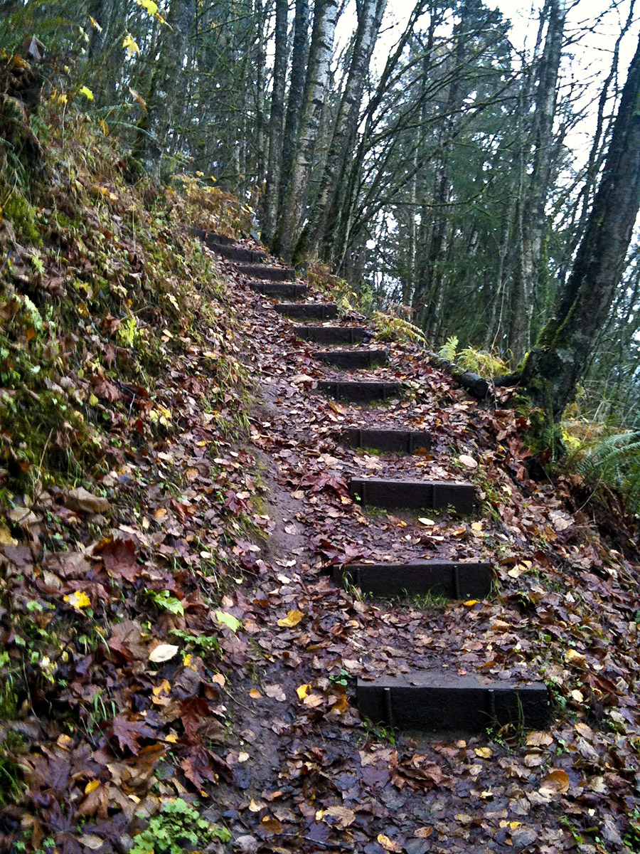 Chilliwack Stairs