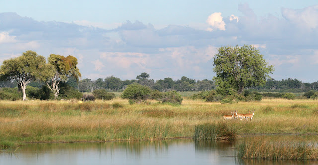 Nkasa Lupala Tented Lodge Namibia