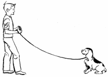 dog training train a dog to stay dog training train a dog to stay