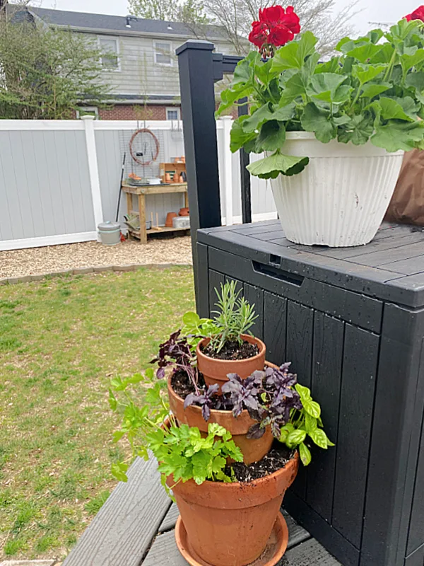 herb garden , geranium and potting bench in distance