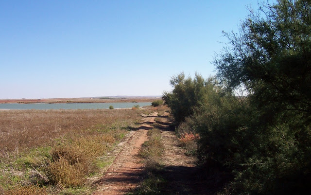 LAGUNAS DE ALCÁZAR