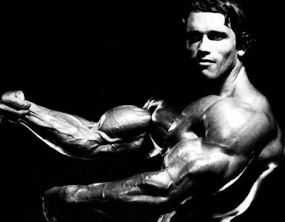 arnold schwarzenegger bodybuilding videos. arnold schwarzenegger