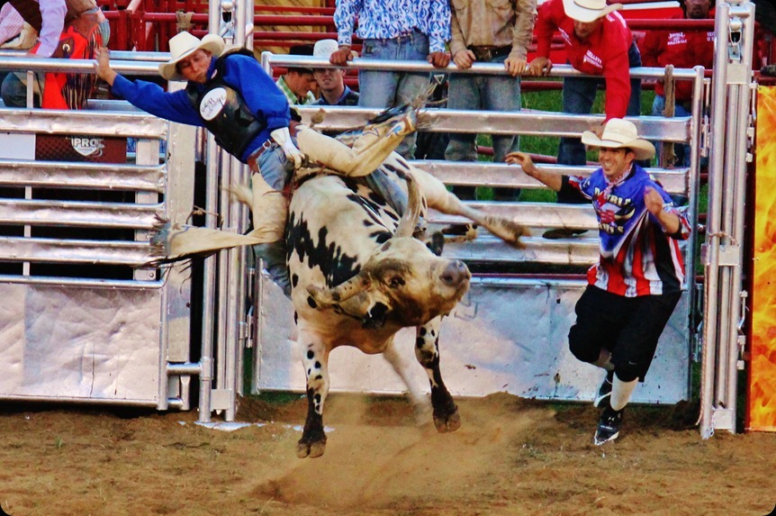 PBR 299