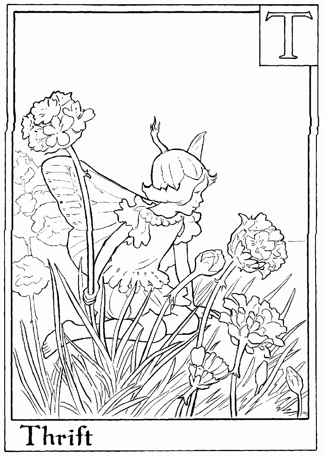 Download FAIRY COLORING PAGES