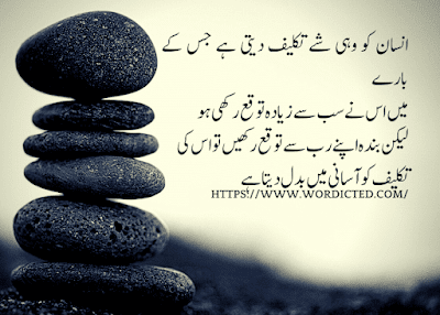 Best Aqwal E Zareen in Urdu 2023 With Images