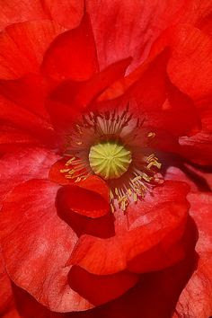 croire en l'avenir