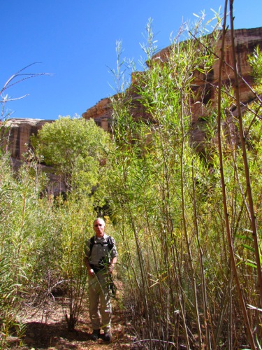 VisitingNaturalBridgesMonument-47-2011-10-11-16-23.jpg