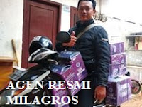 081517546447 Mr Cholik Stokis Milagros Bogor 