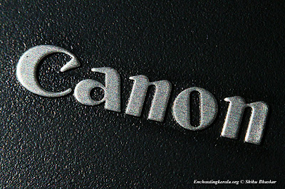 Canon Macro Lens Reverse