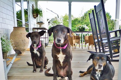 Info FOr You meet the new girls- yes, TWO new girls!!!