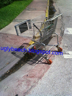 stolen shopping cart