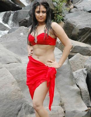 Amruthavalli hot wet stills