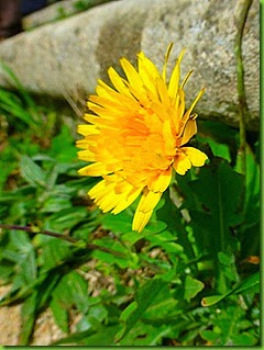 P1080408