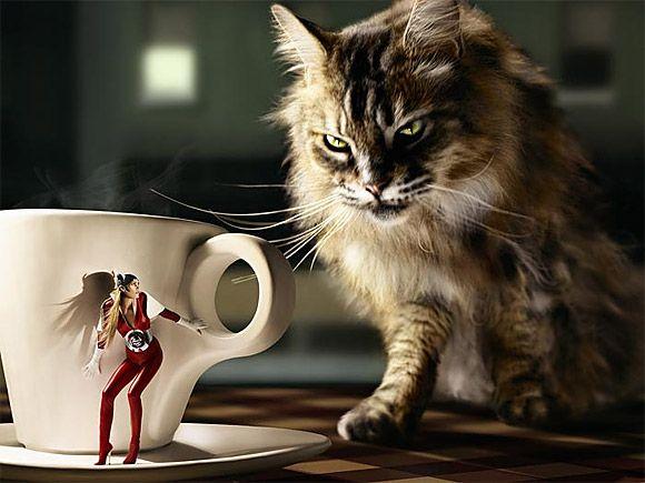 100-Amazing-&-Cool-Funny-Pictures-46 Image alt tage here
