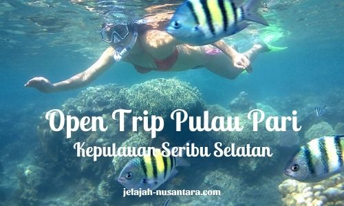 wisata gabungan trip pulau pari