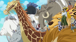 ワンピースアニメ 魚人島編 535話 新魚人海賊団 | ONE PIECE Episode 535