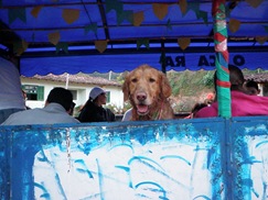 Rota Cãotural (215)
