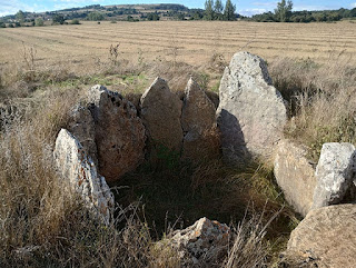 Cámara. La Cotorrita
