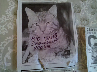Big Paws - Snowball's Bookie