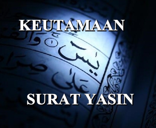 Manfaat Dan Keutamaan Membaca Surah Yasin Kumpulan Artikel Menarik