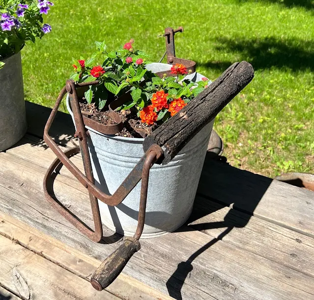 Photos of container garden at planting time & in July.