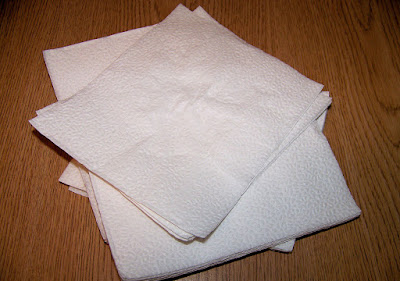 Carry Napkin