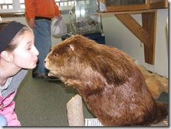 nature center 008